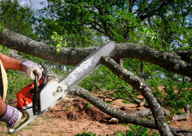 Landscape Design and Installation in Unionville, NC